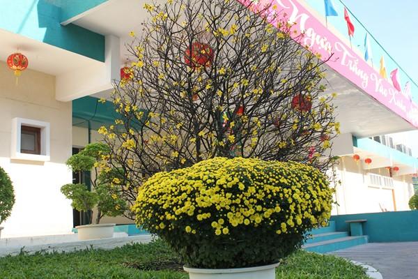 Sắc xuân PXTĐI